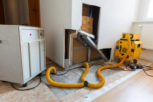 Best Real Estate Mold Inspection  in Lahaina, HI
