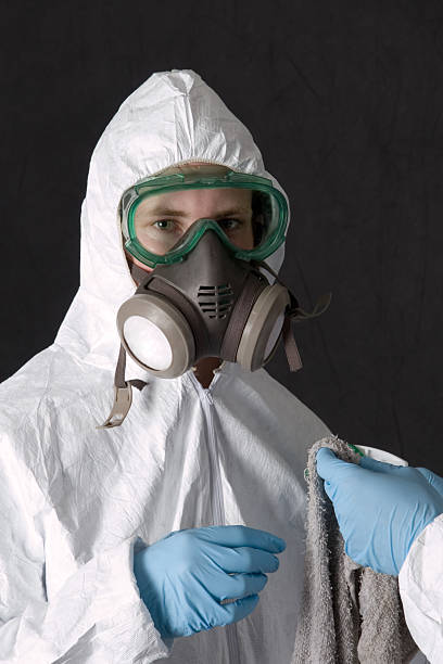 Best Industrial Mold Remediation  in Lahaina, HI